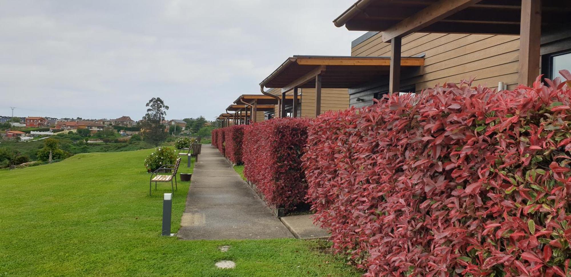 Bungalows Elma Suances Esterno foto