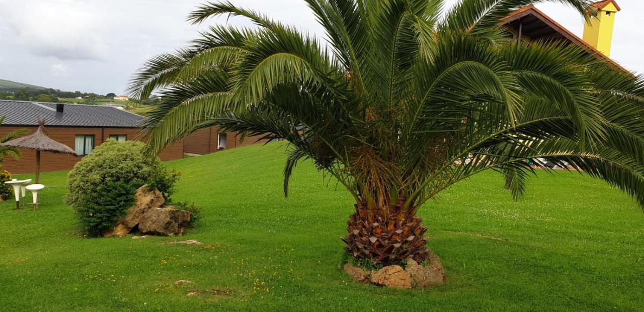 Bungalows Elma Suances Esterno foto